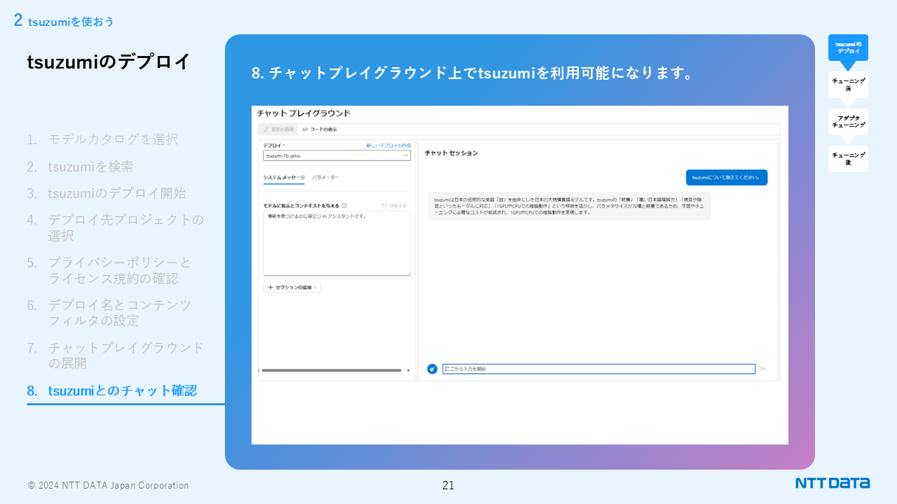 NTTDATA tsuzumi-7B Instruct preview 2