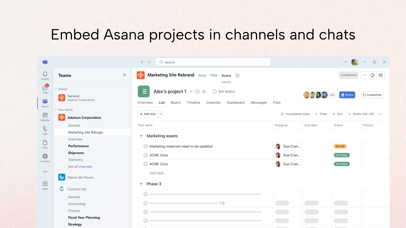 Asana preview 2