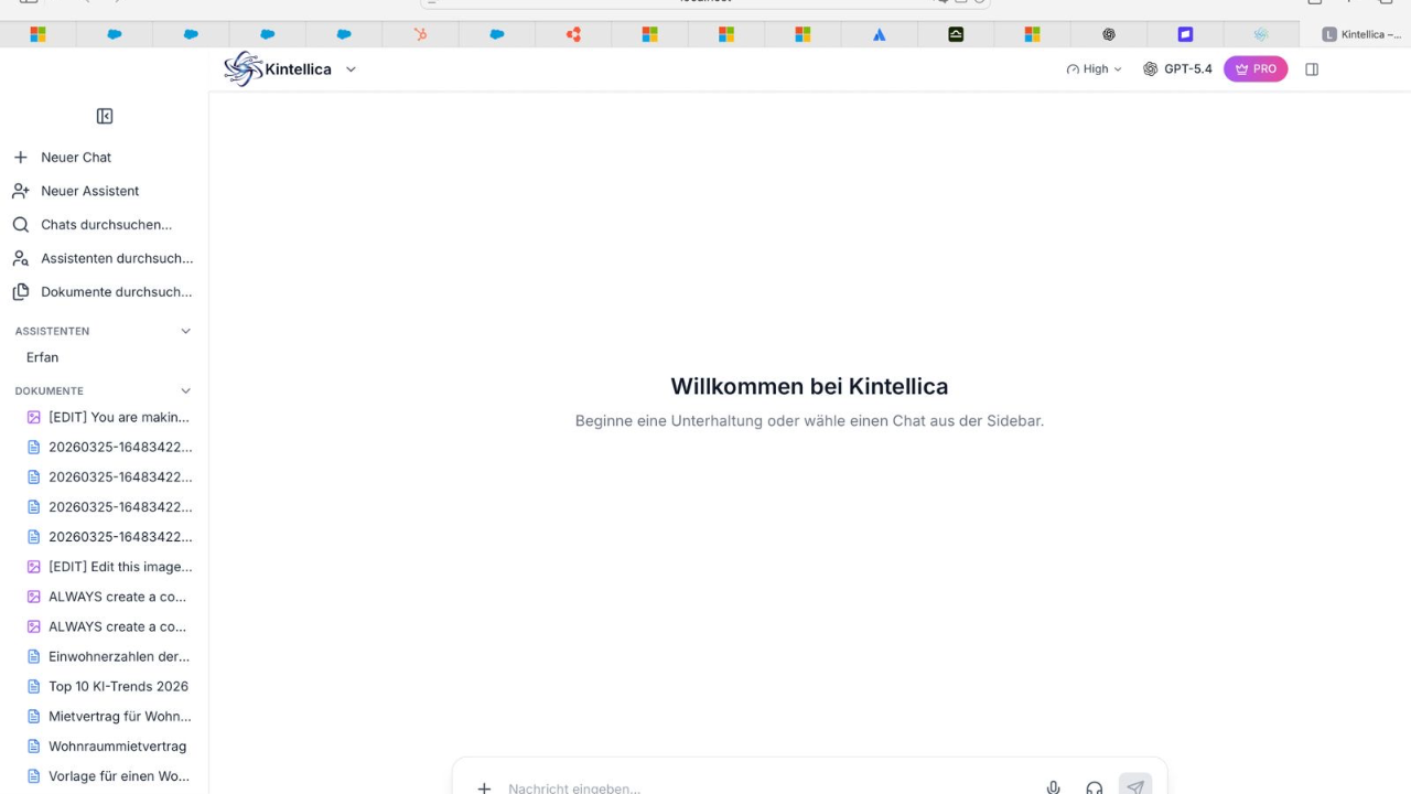 Kintellica preview 1
