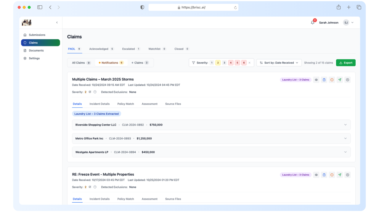 Brisc AI Inc. preview 2