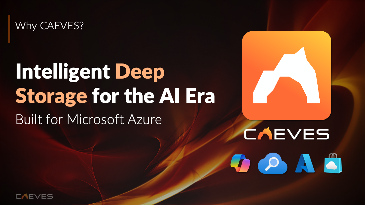 CAEVES - 2. Instance Quickstart preview 1