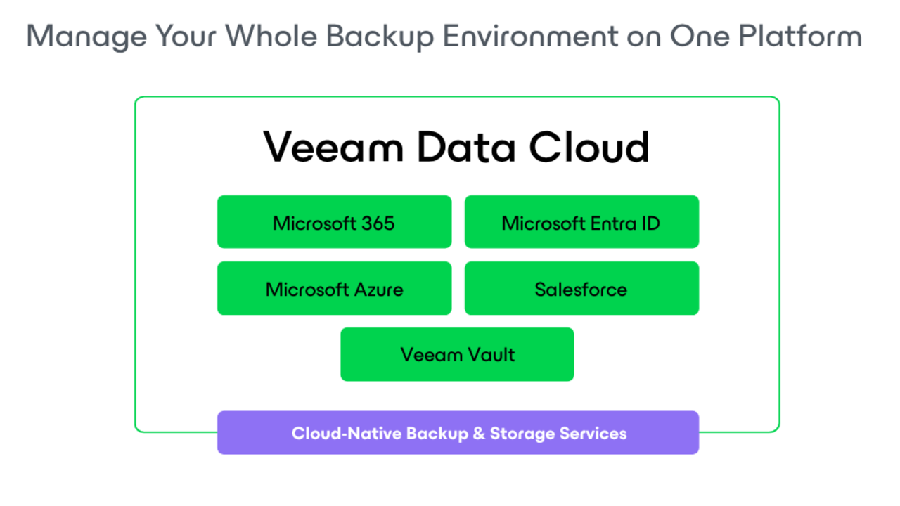 Veeam Data Cloud for Salesforce preview 1