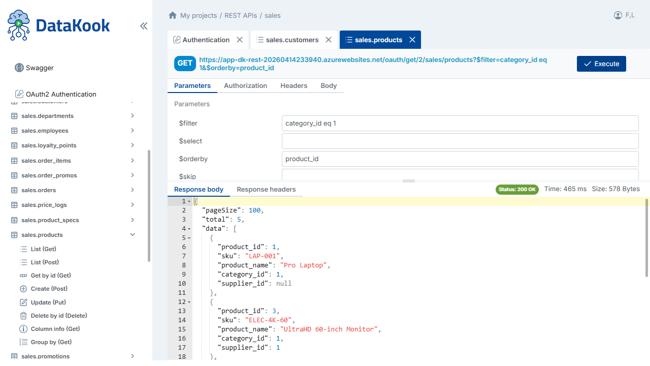 DataKook – Database Web Interface, REST API Builder & AI-Powered Data Access preview 3
