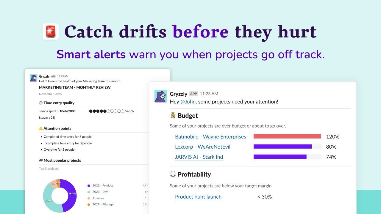 Gryzzly - Project Time and budget tracking preview 3