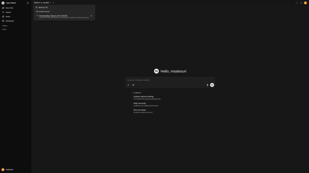 Ollama with OpenWebUI on Ubuntu 24.04 LTS preview 1