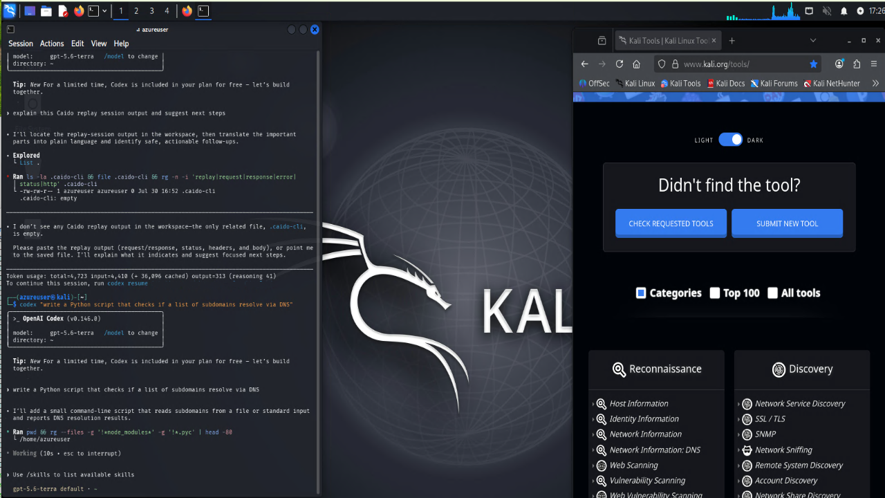 Kali Linux 2026.3 Desktop with Multi-AI Tools & GUI|RDP Access preview 4