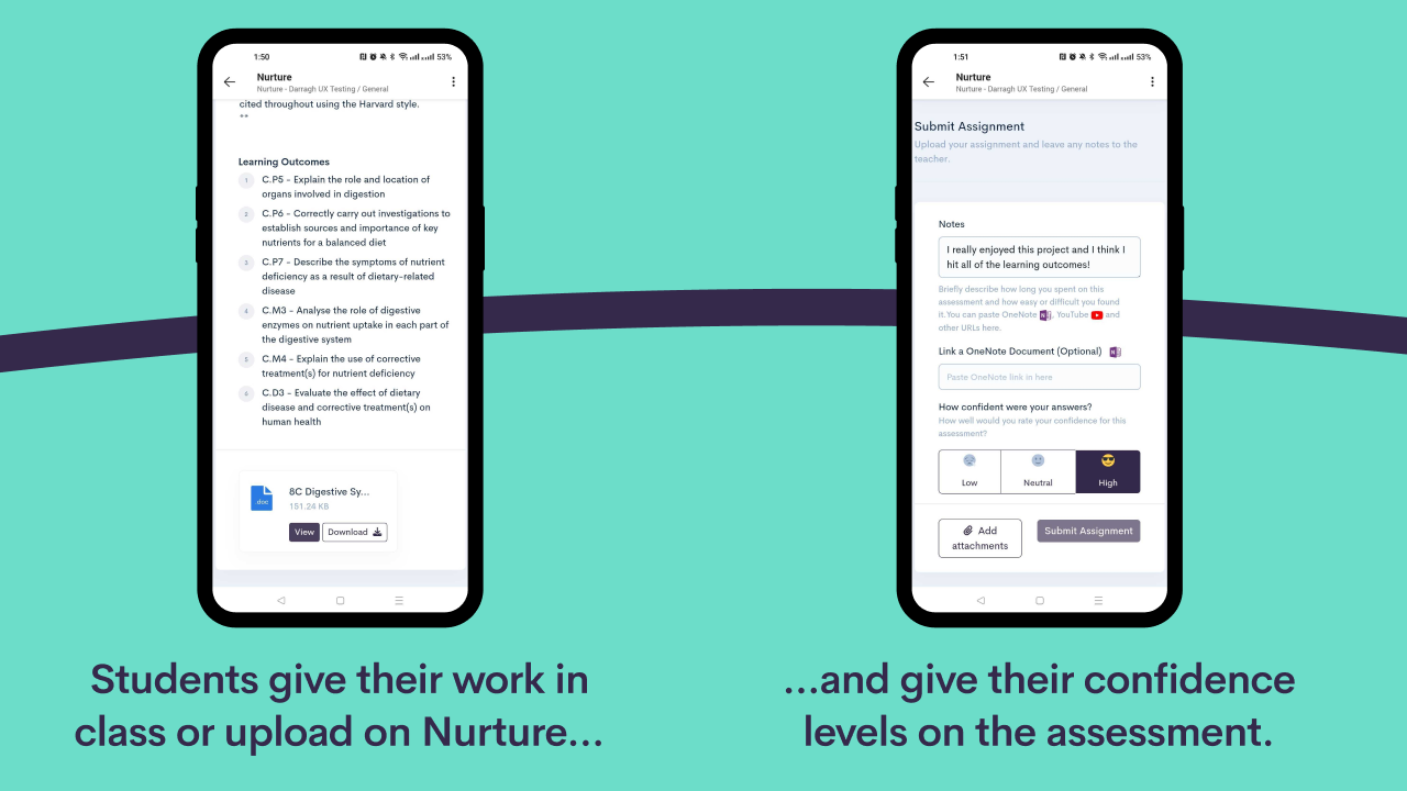 Nurture Formative Assessment & Feedback preview 2