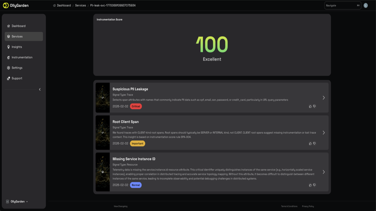 OllyGarden Insights preview 5