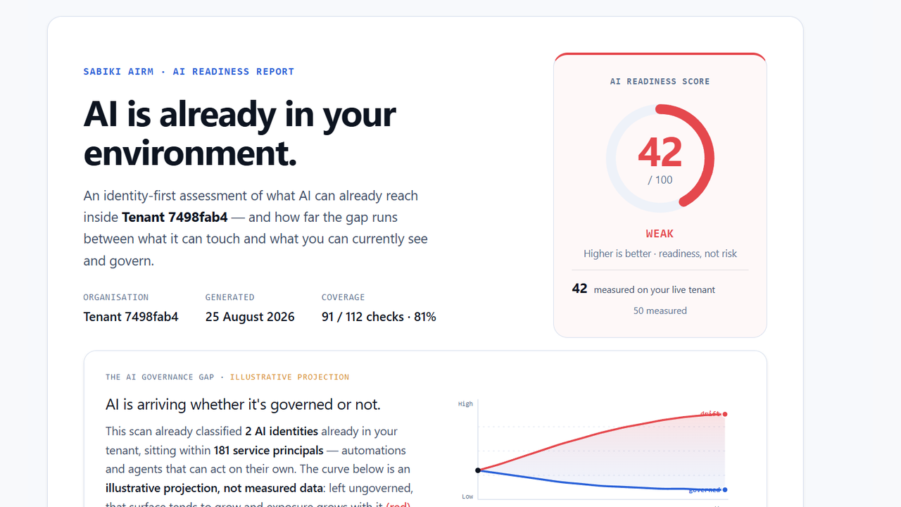 AI Readiness Assessment Scan - By Sabiki Security preview 5