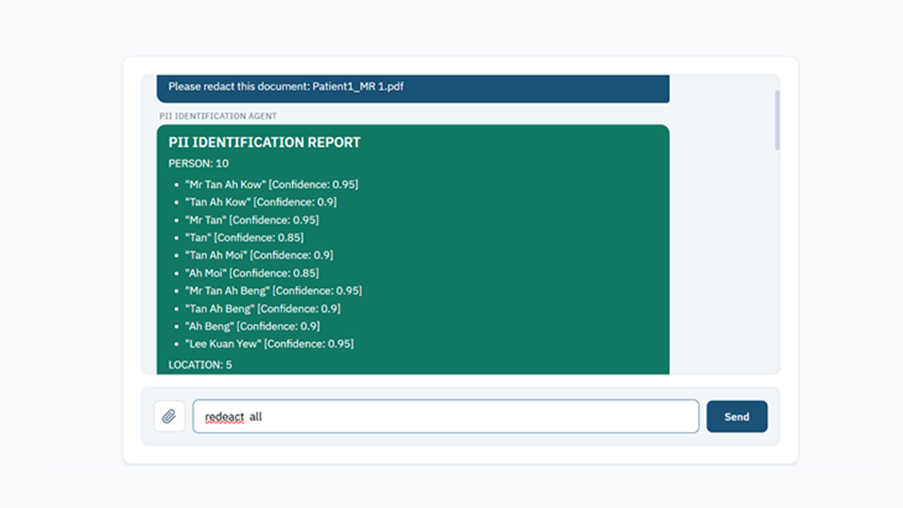 anonify - Redaction and Anonymization Tool preview 2