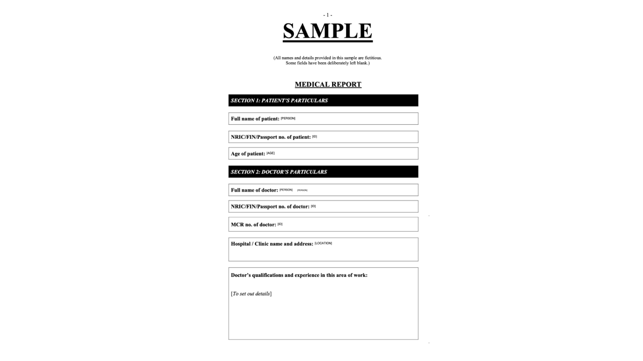 anonify - Redaction and Anonymization Tool preview 3
