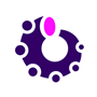 SiriusOctopus365 logo