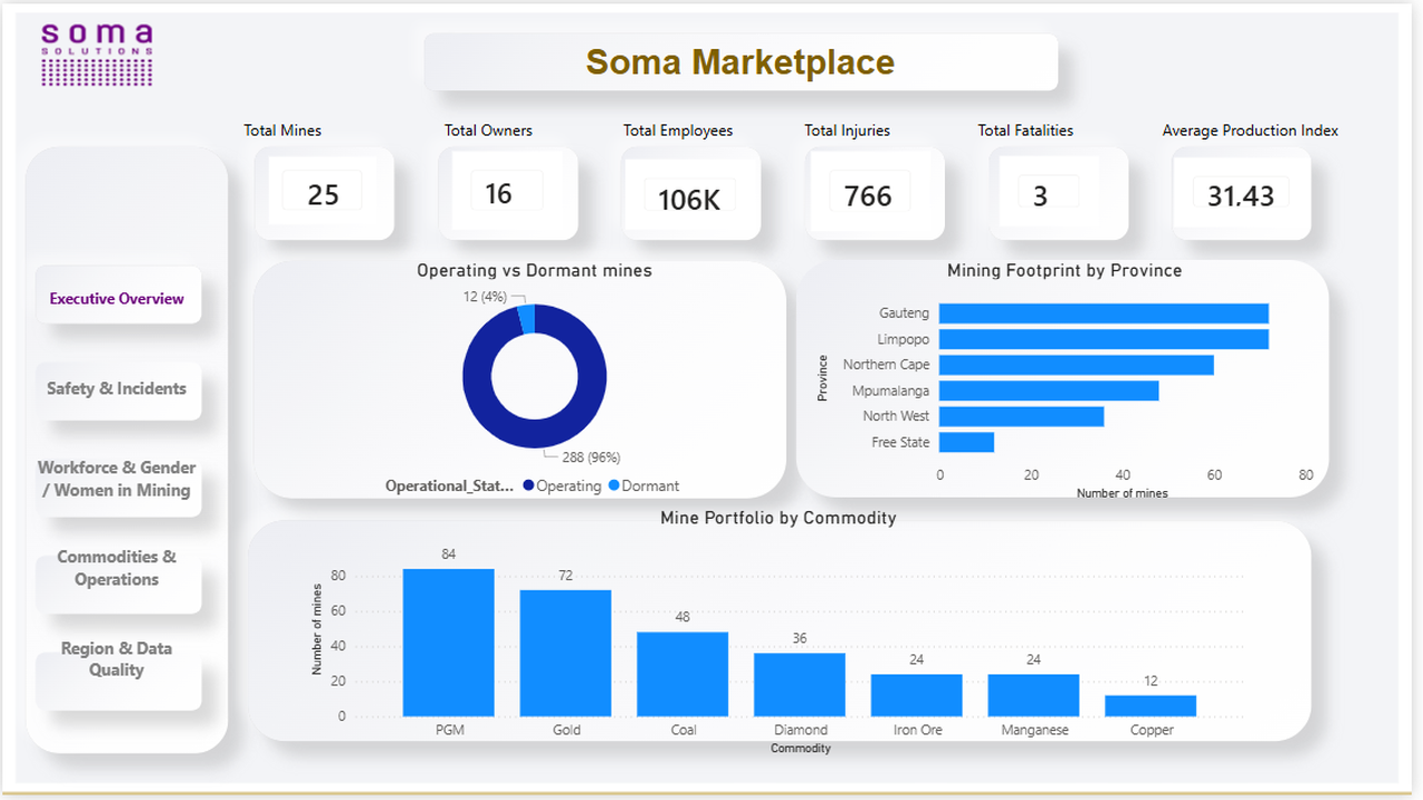 Power BI Dashboard Professional preview 1