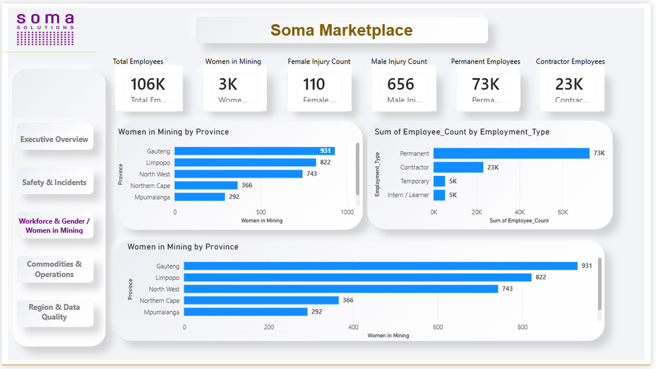 Power BI Dashboard Professional preview 3
