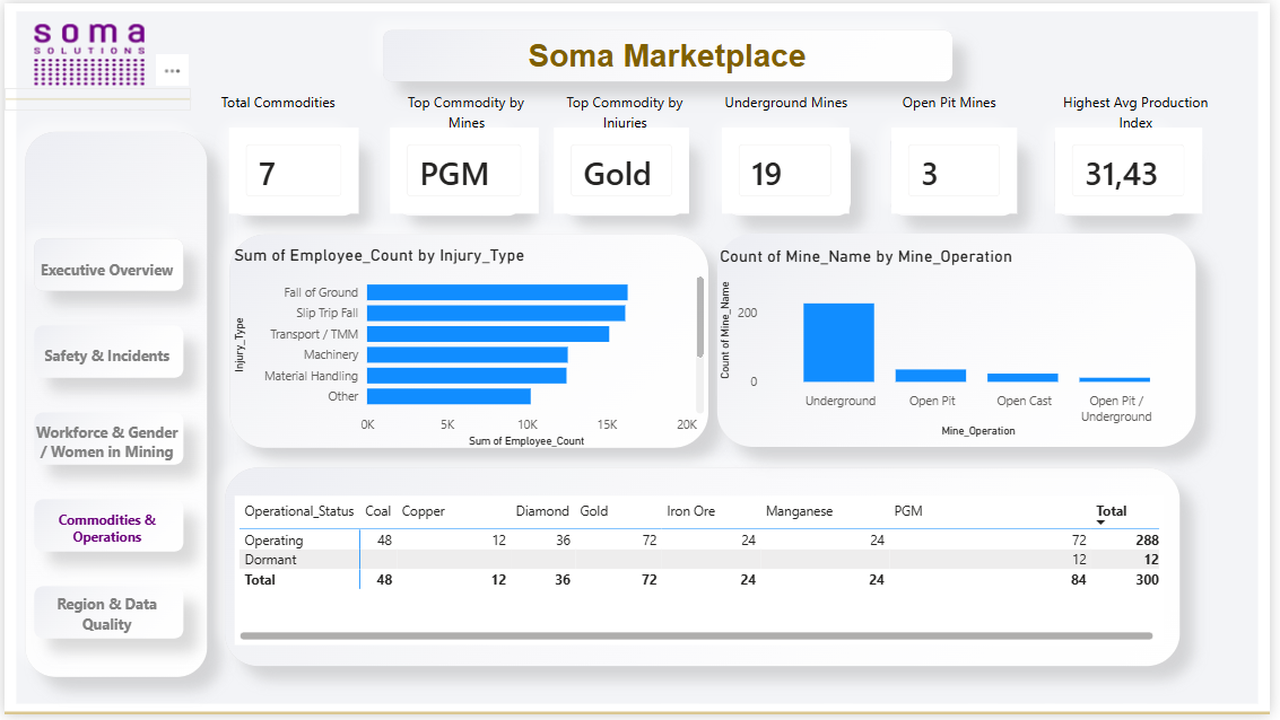 Power BI Dashboard Professional preview 4