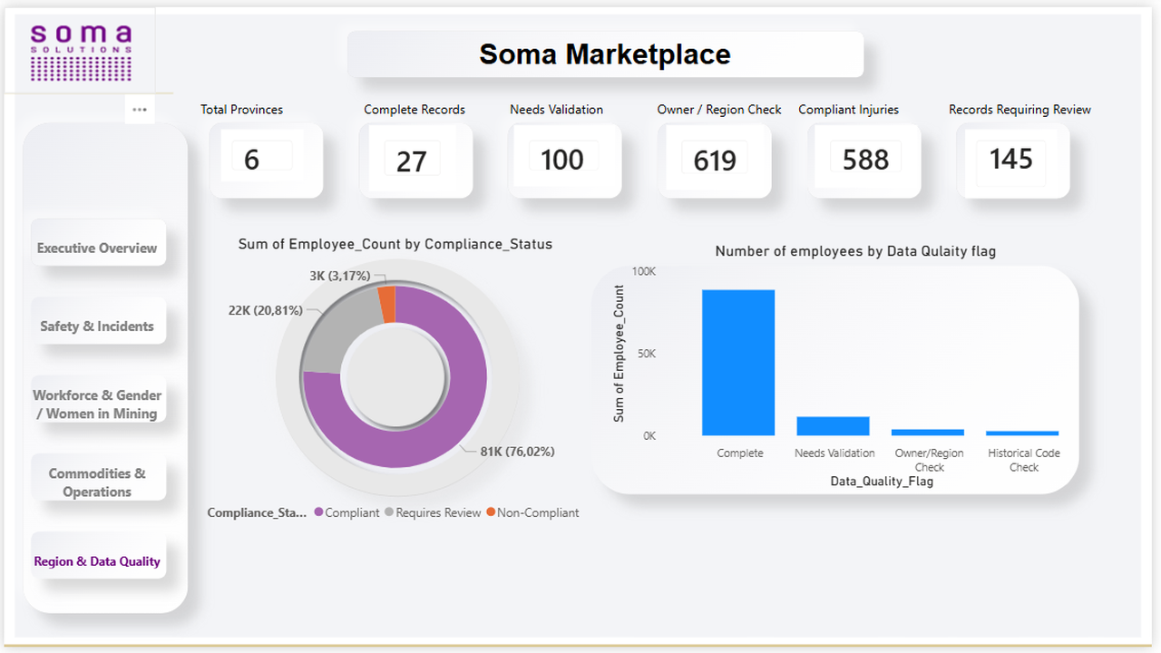 Power BI Dashboard Professional preview 5