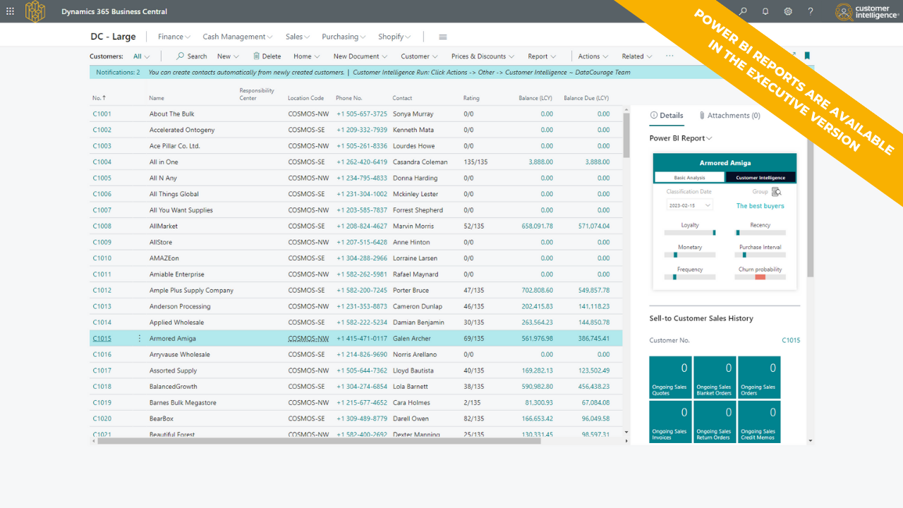 AI Customer Intelligence preview 1