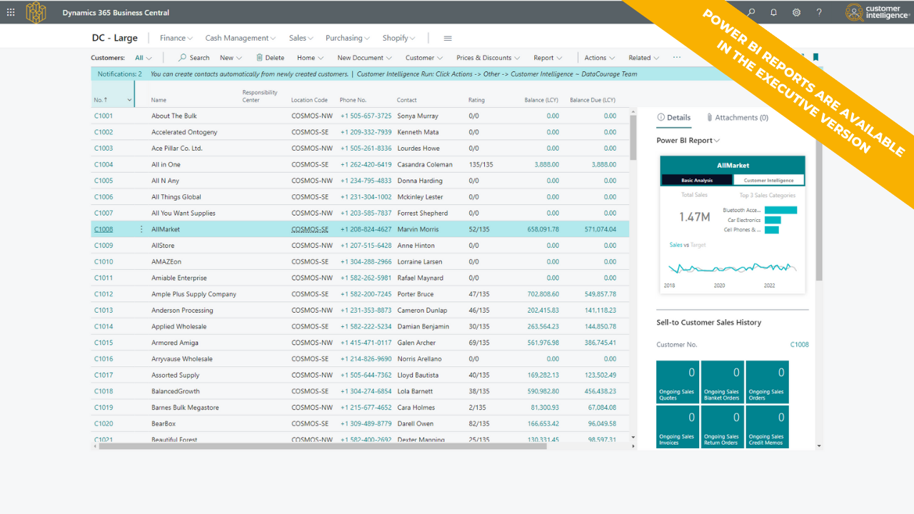 AI Customer Intelligence preview 2