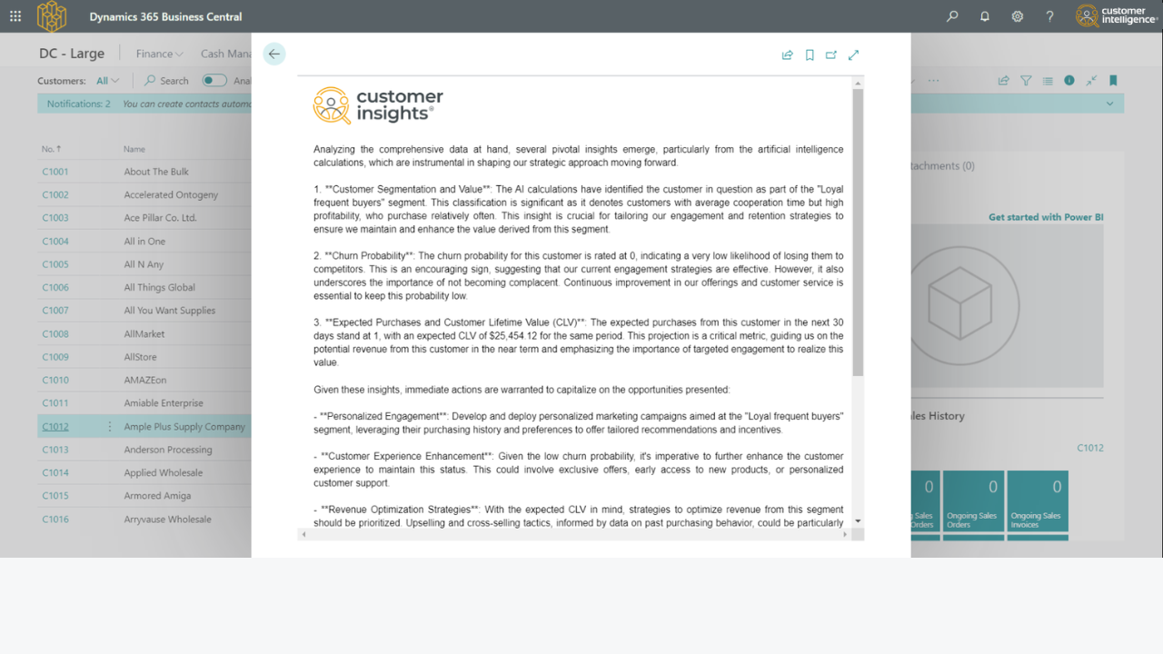AI Customer Intelligence preview 3