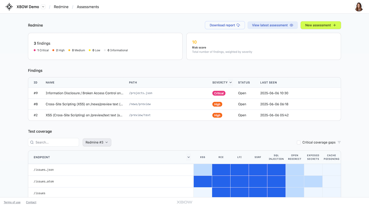 XBOW Enterprise preview 1
